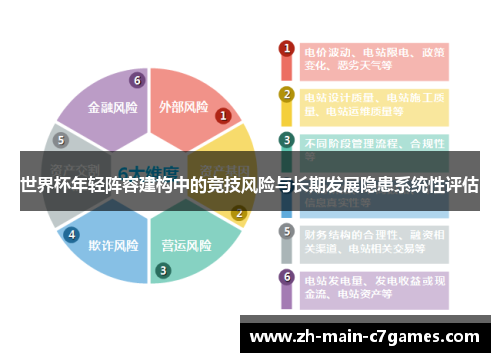 世界杯年轻阵容建构中的竞技风险与长期发展隐患系统性评估